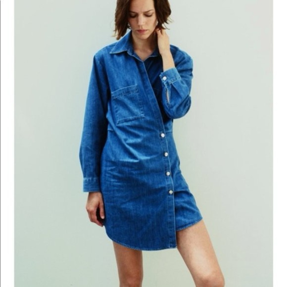 ZARA *NWT* Denim Button-Up Dress